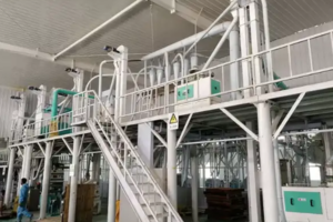 30-50TPD Corn flour milling making machine