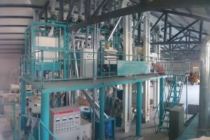 Buckwheat Flour Processing Machine