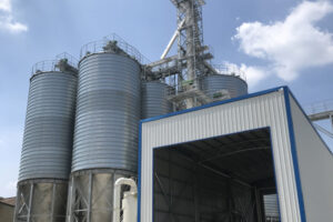 Automatic livestock feed pellet production line