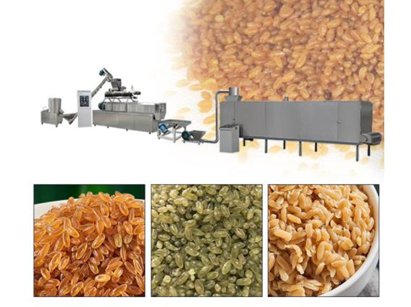 Manufacturer of artificial nutrition composite rice production line