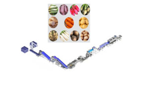 Continuous root and stem vegetable cleaning and washing assembly line