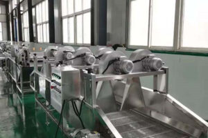 Automatic fruit and vegetable drying machine
