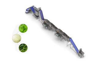 large scale automatic continuous leafy vegetable cleaning line