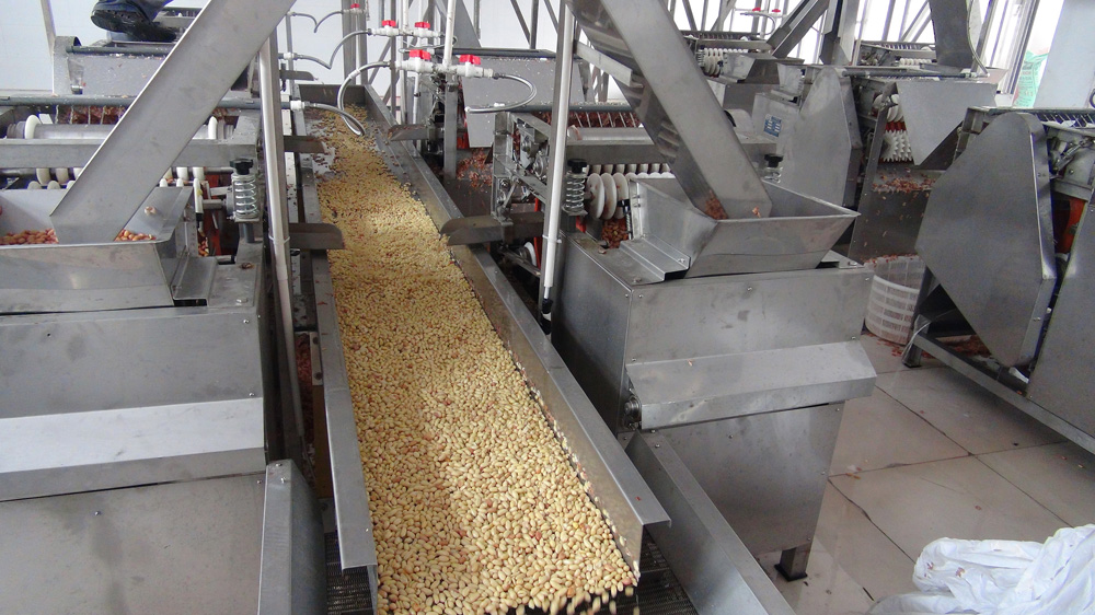 Nut kernel soaking machine