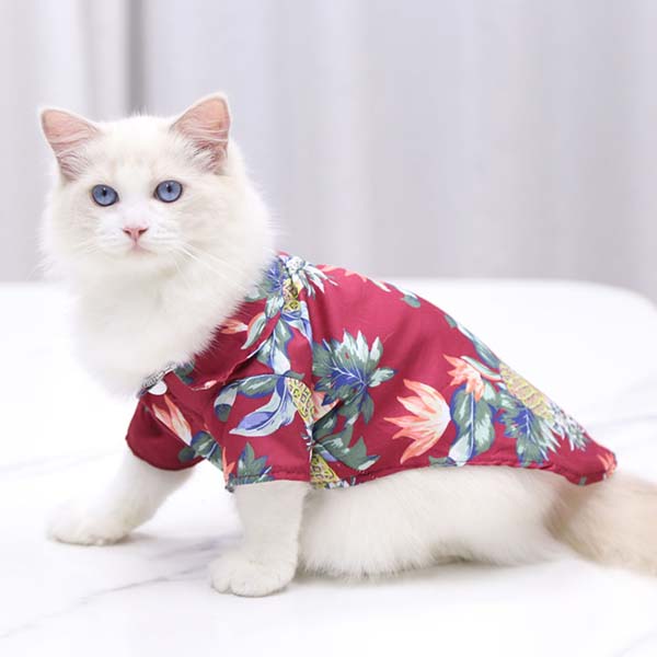 Pet-shirt-clothes.jpg