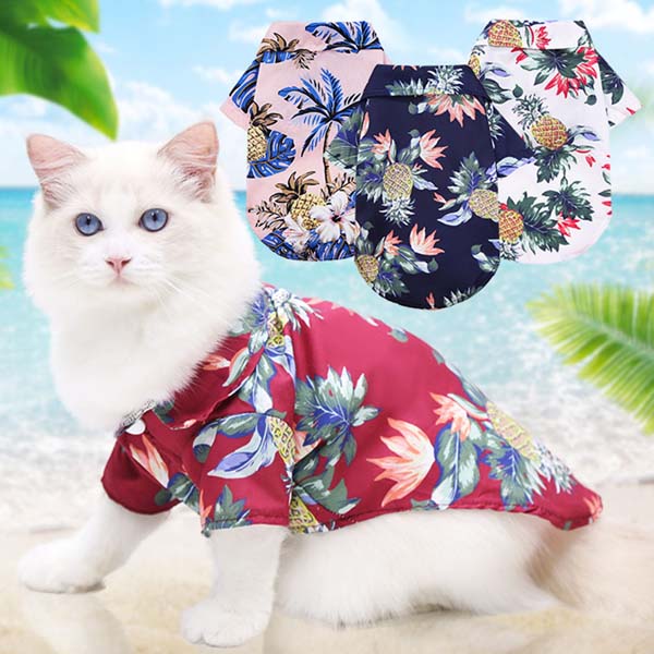 Cat-beach-vest-costume.jpg