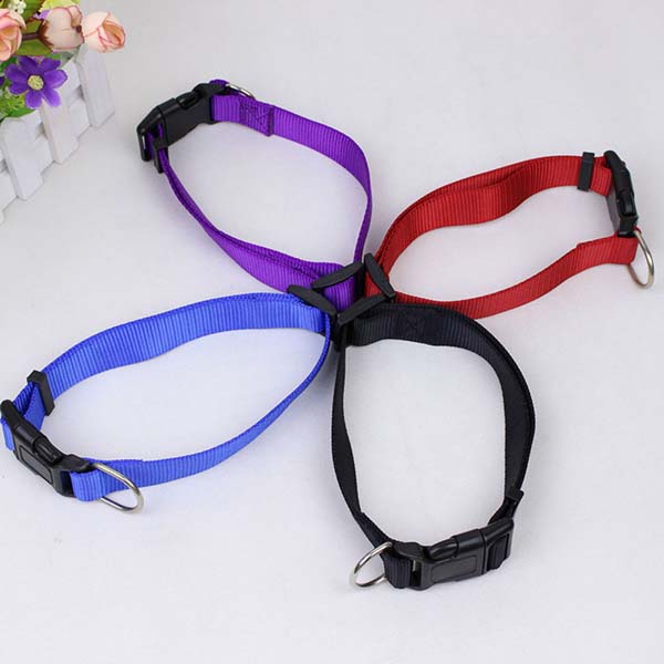 Nylon-Pet-Collar.jpg