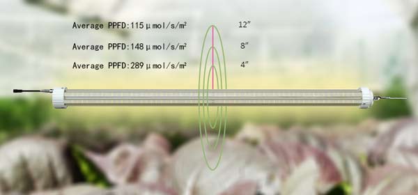 Full-Spectrum-Grow-Lights.jpg