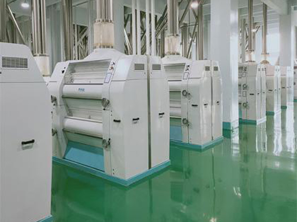 Automatic corn (maize) flour production line