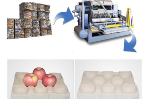 Automatic pulp fruit food carton production line