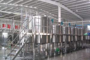 Fully automatic dragon fruit wine production line