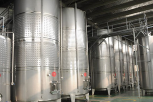 Fully automatic hawthorn fruit wine production line