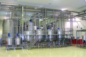 automatic blueberry juice production line