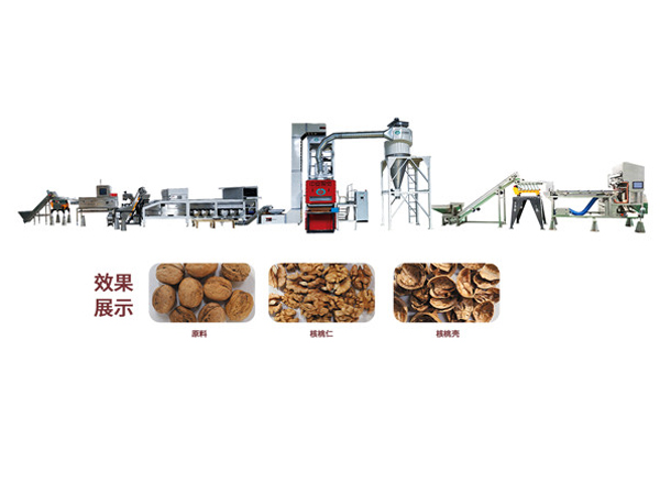 Introduction of Automatic Nut Shelling and Kernel Taking Machine and Semi-automatic Nut Shelling Machine