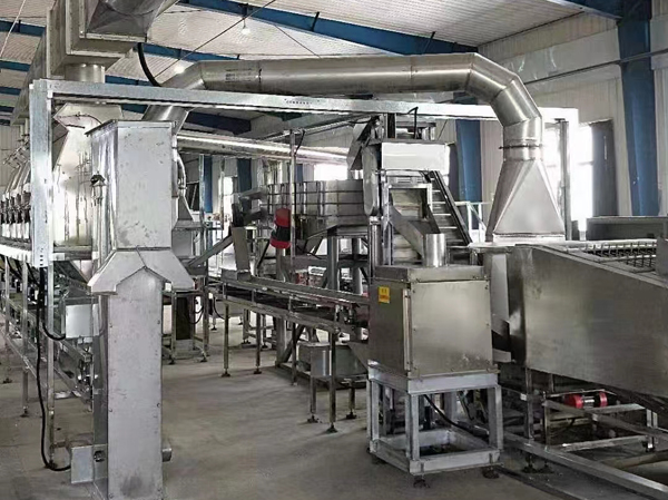 Process Flow of the Fresh Green-Shelled Walnut Shelling Machine
