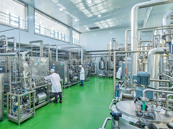 Sterilization process for ripe and raw tea in tea beverage production line